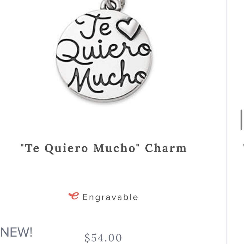 BRAND NEW james Avery charm